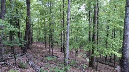 $140,000
31.49 acres of wooded land