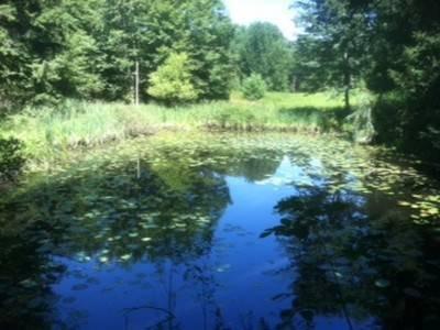 $19,995
Your Own Pond