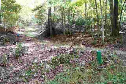 $50,000
Mountain City, PRIVACY-TREES-DEAD END STREET AND MOUNTAIN