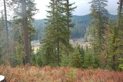 $79,000
36ac of Timber & Recreation Land in Pierce, Idaho