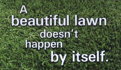 Lawn Shape Up For Your Rentals & Listings