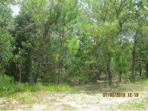 Ocala, VERY NICE AREA TO BUILD YOUR HOME IN MARION OAKS.