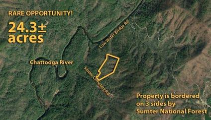 Online Only Auction - 24.3± acres Bordered by Sumter National Forest