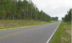 REDUCED!!! Planted pine, paved road, high, dry, great location, low taxes!!! This property has 19 year old planted pine...could be harvested NOW. This would be a wonderful property to build a house or put in a mobile home nestled in the pines. The