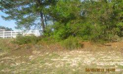 A very nice lot in a quiet zone. Located in Marion Oaks, close to Main Highway I-75, restaurants, hospitals, shopping center. Owner motivated to sell.