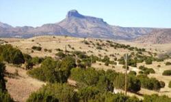 This beautiful piece of land is located in the South Double Diamond Ranch on 14.24 acres with a private water well. The property offersoutstandingviews of Cathedral Mountain with beautiful sunsets and peaceful living. A must see to appreciate!!
Listing