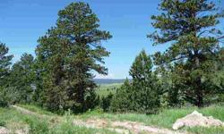 Choice Black Hills Lot, close to town, plenty of trees for privacy,level building site, wonderful views to the West & East, paved road, Black Hawk Water, gas, power and phone to lot line. Premier Builder available if requested with multiple home