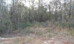 City lot located close to schools in Ludowici. 100 feet of paved road frontage.Listing originally posted at http