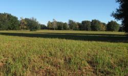 10 OR 20 FENCED, HILL-TOP ACRES WTH SCATTERED OAK TREES IN THE MIDDLE OF HORSE COUNTRY, OCALA FL. HIGH ELEVATION WITH NO WET LANDS. NO DEED RESTRICTIONS. $ 12,500. PER ACRE. TERMS. CALL JIM GRITTER, OWNER/BROKER @ 352-694-2969