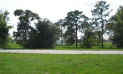 UNIQUE RUNWAY LOT AT LEEWARD AIR RANCH, A SPORT AVIATION COMMUNITY IN SE OCALA. BUILD YOUR HOME AND HANGAR ON THE RUNWAY WITH BEAUTIFUL SHADE TREES RIGHT ON YOUR PROPERTY.