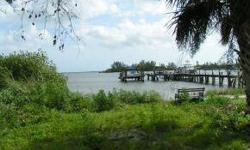 Beautiful Riverfront lot with many possibilities, check attachments. ACTUAL LOT SIZE IS 50 X 119 INCLUDING ACCRETION 29' TO WATERS EDGE. Seller has a survey showing accurate boundaries. Land on East side of Indian River Drive. This is a very unique