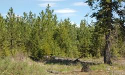 Enjoy abundant wildlife amongst the 118.66A acres of wooded rolling hills. Property has replanted fir & pine trees and is only 4.5 miles from Weippe, Idaho. Private access to the adjacent State of Idaho land.