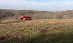 Get away from it all!Bring the horses,cows, & chickens.SR-840 to I-65 projected to open by 12/12/12! Minutes to Natchez Trace & Leipers Fork. Just 24 min to 5 Points of Historic Franklin, TN. 21.60 Acres w/creek waiting for your dream home to be built!
