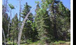 Sloped corner lot on .50 acres in Navajo Lake Estates. Nicely treed with two adjoining lots available. Sold separately or together.Listing originally posted at http