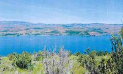 Sit back and watch the magnificent mountain views or the boaters on the Lake or just enjoy the sounds of nature! Use your imagination to the fullest by owning this 13.74 acres with an unobstructed view of Lake Chelan. Power is below property on another