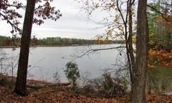 Fantastic price & fantastic water! Perfect home site w/dock permit agreed to! Year-round water. No restrictions, so bring temporary housing while you build! This land is surrounded by many upscale single-family homes!