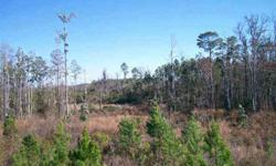 You will never see acreage this cheap again. Secluded lot with stream and look out tower to enjoy all of what North Florida county living has to offer. Clusters of cypress and hardwoods through out. Hunters paradise with deer, turkey, bob cat, bear and