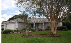 Pebble Creek Village! Move-in Ready. Located in the heart of New Tampa, this former model is a rare find - a 3 bedroom, 2 bath home with a sparkling pool, spacious patio, mature landscaping and privacy. The great room has vaulted ceilings, wet bar, wood b