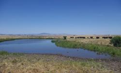 Affordable grazing/pasture ground with beautiful views of the Camas Prairie. Acreage is located at the end of the road and is fenced. With its two ponds and seasonal creek it would be a great place to graze cattle. Only 4.5 miles from Grangeville, Idaho.