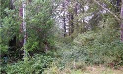 This interior lot at Ocean Shores is centrally located. You will be close to activities on the lake, ocean or town. Clear the property to your desire. Power is on the property so you can use your RV right now, or build your dream house or cabin. Sewer LID