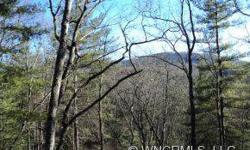 Great 1.28 acre building lot with winter views! Close to Dupont State Park and Holmes State Park for hiking, biking & lots of other outdoor activities. 20 minutes to Hendersonville & Brevard. Lot is approved for Manufactured home site. Seller is motivated