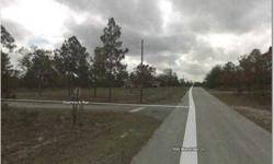 Nw shamrock ave, ocala, fl 34471...nice 1 acre lot in growing area.
Listing originally posted at http