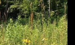 Blackberry bushes line this5.71 acre property, which also features a mix of open meadows and a ridge of hardwoods with beautiful views off the back of the lot. Private and secluded, the land sits on a private road with access to power. Only minutes from