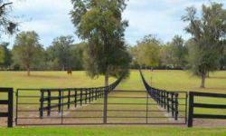 OCALA'S HACIENDA DEL SOL. Breath taking Southwestern Farm with Grandaddy Oaks in the midst of Ocala's Finest Equine Properties and close to HITS. This Magnificant home with 5 Stall Center Isle Barn, 2025 sq ft Equipment Building, 225 sq ft Hay Room. All