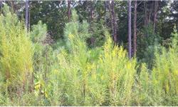2.68 Acre residential building lot for sale in west Pickens County, GA -- only $20,000!Listing originally posted at http