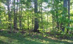 Looking for nice lot in Premiere Development,look no farther. This 1 Acre lot is at the end of the road on a cul-de-sac wooded with a good building site. Cobblestone Development is close to Lake James and Marion.
Listing originally posted at http