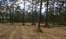 70 +/- beautiful ac. in the Town of Persion, Volusia County Fl. 45 min from downtown Daytona on the edge of Ocala National Forest. Lots of wildlife, peaceful and secluded,perfect for hunting ,camping or just getting away. Plenty of room for you Equestrian