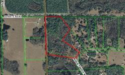 Gorgeous 19+ acres in exclusive Pasco Trails Equestrian Community. Estate homes with large yards and wooded areas. Lot has picturesque cypress pond in front of property near street . Deer and Wild Turkey are frequently seen. A little bit of country in a