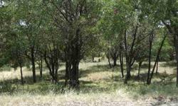 A beautiful tree covered lot near the coveted Ram Golf Course. Access to Ram Golf Course. Beautiful homes nearby. A great price for someone looking to build on a fantastic location. Owner is negotiable.Listing originally posted at http