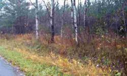 Wooded acreage with small stream near Perry Lake in Oscoda County in northeast Michigan. Property fronts county road where electric is available. Drive by to see this nice location.