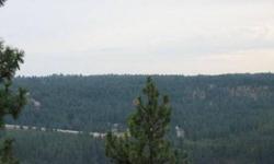 Here is a rare opportunity to buy the last view lot on the southern-most tip of Helena street on Spokane's South Hill in the South Ridge neighborhood. This lot is 1.84 acres, has paved access with services at the street. Running from Helena all the way