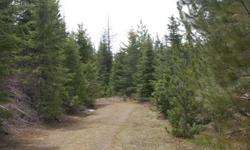 Partially wooded recreational acreage just 17 miles from Orofino. This approx. 200 acres piece is bordered by Idaho Department of Lands on 3 sides. Located approximately 17 miles from Orofino and only 15 miles from the Dworshak Reservoir this retreat
