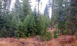PRICE REDUCED! Partially wooded 160AC with mountain views and year round access. Several areas where a home could be built. Property is adjacent to State of Idaho land. Property is suitable for recreation or as a ranch with its stream and pasture ground.