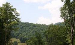 1.3 acre lot in the beautiful development of shatley mountain in historic todd.
