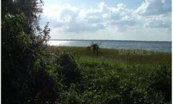 Lake eustis lakefront! Chain of lakes! Beautiful building lot just shy of 1 acre! Listing originally posted at http