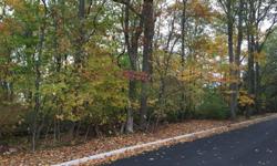 The lots at 111 Armour Road are both 0.35 acre lots located on the corner of Armour Road and Kilmer Road in beautiful Mahwah NJ, 07430. Both lots are the perfect pieces of property for acquisition by a residential developer or for private buyers looking
