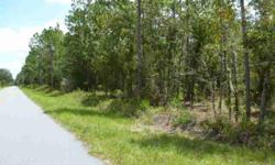 GREAT 5 ACRE RESIDENTIAL PROPERTY ON A PAVED ROAD IN A NICE NEIGHBORHOOD AND JUST MINUTES TO GOETHE STATE FOREST TRAILS. Enjoy your privacy and surroundings on this nicely treed, high & dry parcel located in a horse and critter friendly area. 10 minutes
