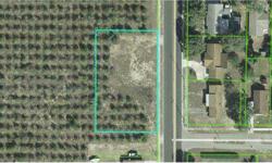 Two parcels of land being sold as one. The 1st is 905 N Lake Ave is a residnetial lot that measures 208x125. (A-15-33-28-010-0500-0000.) The 2nd is approximately 6.5 acres of groves, this is located 23 Palmetto (A-15-33-28-010-0509-0000). Survey