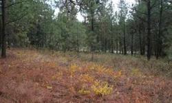 Many building sites on this 5 acre (mol) parcel within an easy drive to town. There are open and lots of trees, a little bit of hill and level areas too. Great sized lots, big enough for some seclusion and small enough to be easily managed.
Listing