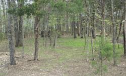 60' X 120' lot, 5005 Pear Dr, Rockaway Beach, Mo,65740. Great place for house or doublewide, 5 minutes from lake Taneycomo. Recently surveyed. Will take 2,500. Moved and do not need it.