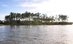 Amazing views of broad creek wherever you look from this desirable lot in river dunes.