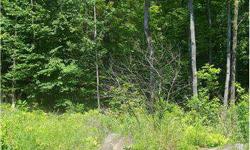 378' of road frontage. 11.28 acres of wooded land. Low taxes!
Listing originally posted at http