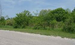 WELCOME TO COUNTRY LIVING!! LOVELY WOODED LOT SET IN QUIET LOCATION. WOULD BE WONDERFUL AREA TO BUILD YOUR DREAM HOME. GURNEE SCHOOL DISTRICT. WELL & SEPTIC REQUIRED. BUILDING SUBJECT TO VILLAGE OF WADSWORTH APPROVAL.H135
Listing originally posted at http