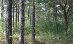 Five peaceful acres on a blacktop road with water service and electricity ten minutes from the interstate. Pine trees and rolling hills with a creek in the back; perfect for a future pond site. Chesbrough Schools. Owners willing to finance. Other sizes