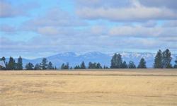 One of Spokane's hidden treasures, Orchard Bluff Farms offers stunning, panoramic views of Mt. Spokane and the surrounding foothills. Bring your builder or have Walter Mattson Homes custom build the country home of your dreams. Construction costs will