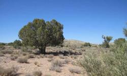 This is a choice lot in the cedar hills ranches. 38.45 acres with trees and incredible views.